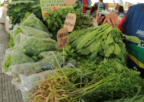Feira de Produtos Regionais é inaugurada no bairro Dom Pedro