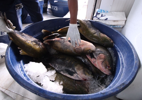 Feira do Tambaqui é estendida até sexta em Manaus; Confira preços 