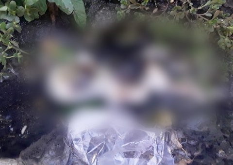 Feto é encontrado em saco de lixo ao lado de bilhete em Manaus 