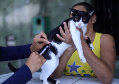 Campanha antirrábica animal: veja pontos de vacinação em Manaus
