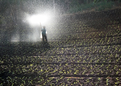 Protocolo de guerra para desenvolver indústria de fertilizantes é proposto no Amazonas