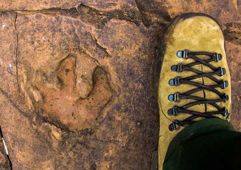 Estudo confirma presença de dinossauros em Mato Grosso do Sul