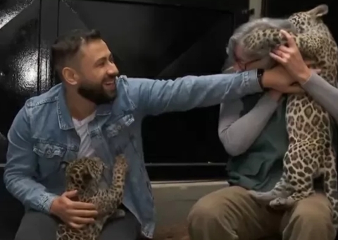 Repórter é 'atacado' por filhote de onça ao vivo e brinca: "meliante"