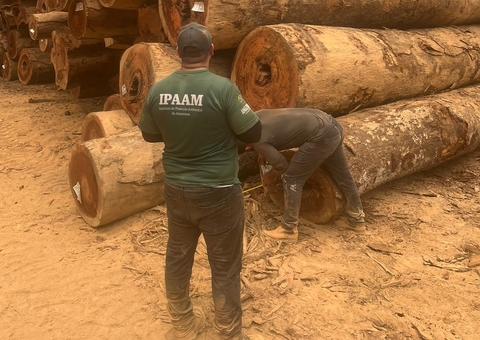 Ipaam anuncia fim do período de Defeso Florestal no Amazonas