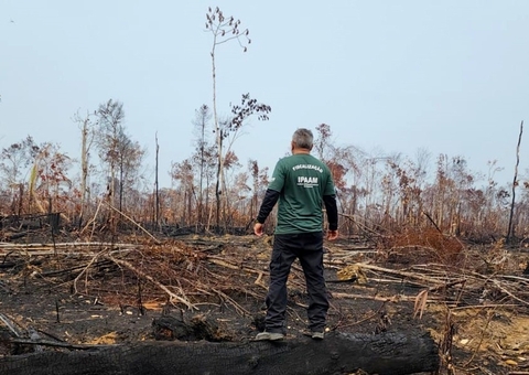 Fiscalização contra queimadas e desmatamento é intensificada no Amazonas