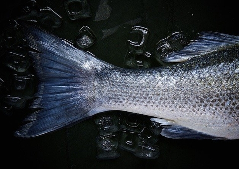 Mais de 80 casos de 'doença da urina preta' são registrados no Amazonas e mais 3 estados