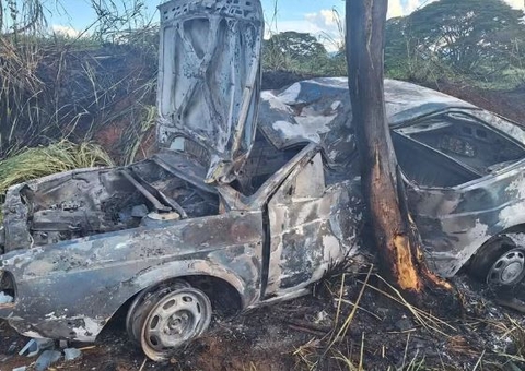 Sertanejo é carbonizado ao bater em árvore durante acidente