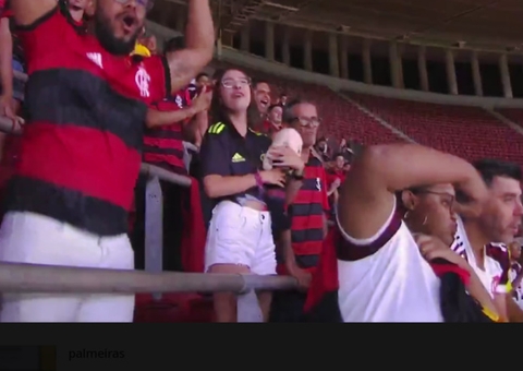 'O Brasileiro é um campeonato de recuperação para o Flamengo', diz Dorival