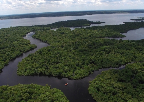 Dados do Inpe apontam aumento em desmatamento na Amazônia Legal