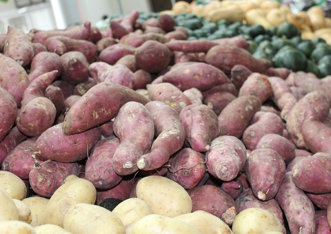Saiba quais são os benefícios de comer batata doce
