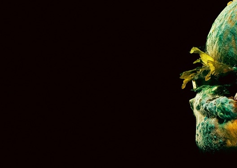 Jovens comem carne podre para ficarem 'chapados' em desafio na internet