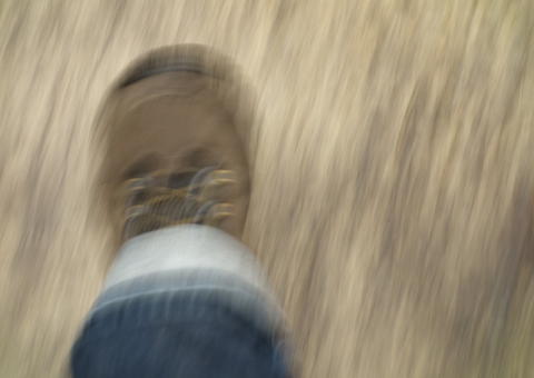 Homem é condenado por estuprar adolescente a caminho de comércio no Amazonas