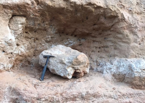 Fóssil de dinossauro é encontrado no interior de SP