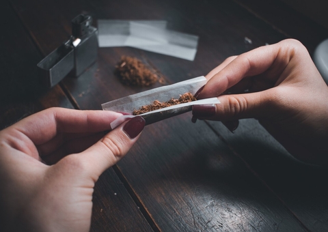 Alemanha libera uso de maconha e plantação de cannabis em casa 