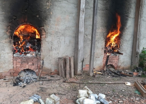 Cerca de 80kg de maconha escondidos em açaí são incinerados no Amazonas