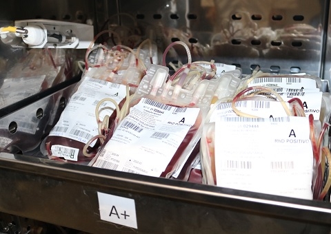 Doação de sangue ajuda no tratamento de pacientes com câncer no Amazonas