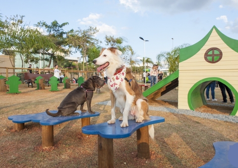 Vereador propõe criação de praça para pets em Manaus