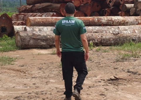 Madereira é multada em R$ 300 mil durante operação no Amazonas