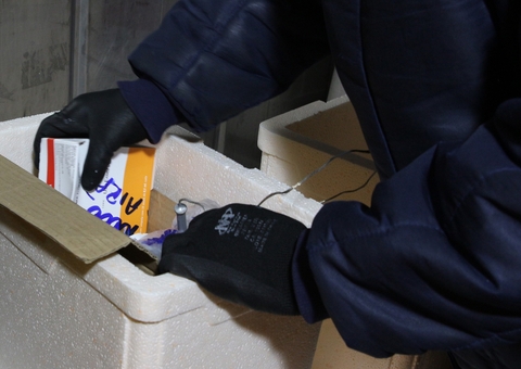 Covid: Distribuição de novas doses de vacina inicia no interior do Amazonas