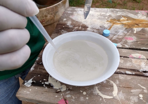 Casos de dengue apresentam redução de 46% no Amazonas