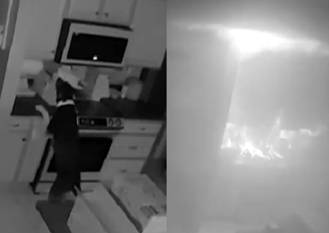 Cão acende fogão e incendeia casa nos EUA; vídeo mostra acidente