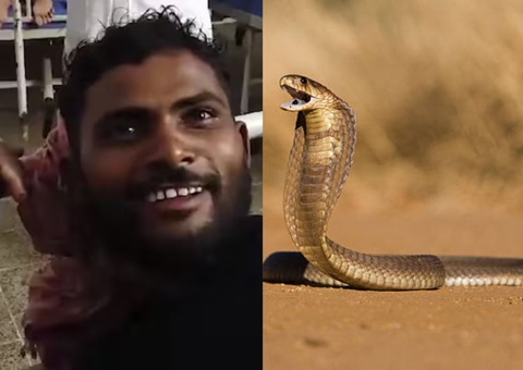 Homem mata cobra venenosa com mordidas após ser atacado