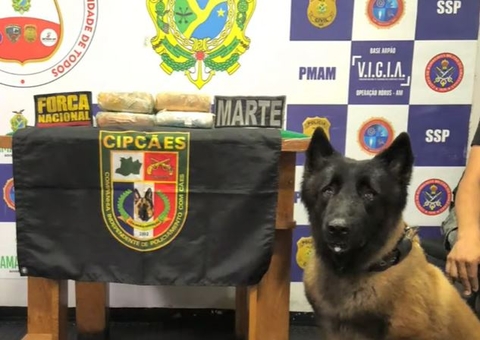 Polícia encontra drogas avaliadas em R$ 67 mil escondidas em pneus de barco no Amazonas