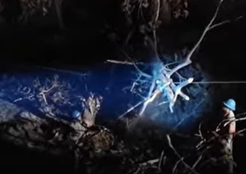 Manacapuru sofre apagão de quase oito horas após árvore tombar sobre linhão