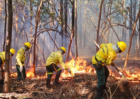 Ibama inicia combate a queimadas em Iranduba no Amazonas