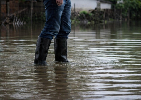 Amazonas sob chuva: risco de leptospirose sobe em todo o estado
