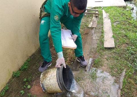 Sobe para 8.560 o números de casos de dengue no Amazonas