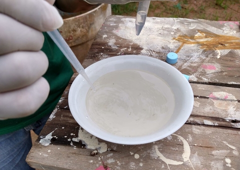 FVS investiga casos de febre Chikungunya em Tefé