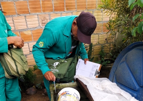 Número de casos de dengue chega a 502 no Amazonas