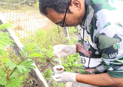 Arboviroses: Amazonas acumula mais de 3 mil casos de dengue