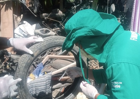 Amazonas tem 4.787 casos de dengue notificados