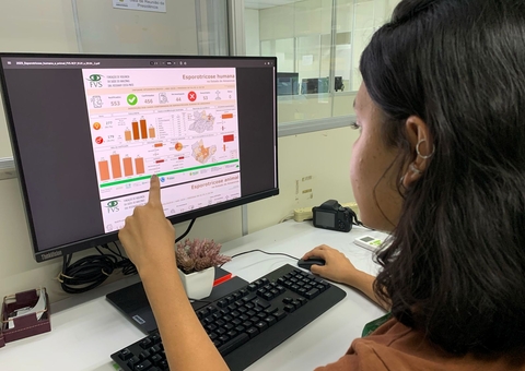Esporotricose: Amazonas registra mais de 2 mil casos em quatro meses