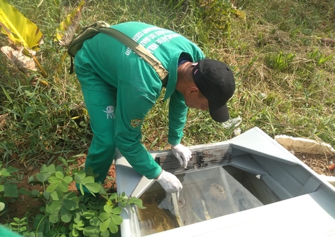 Amazonas tem risco médio de surto por mosquito da dengue e Saúde emite alerta
