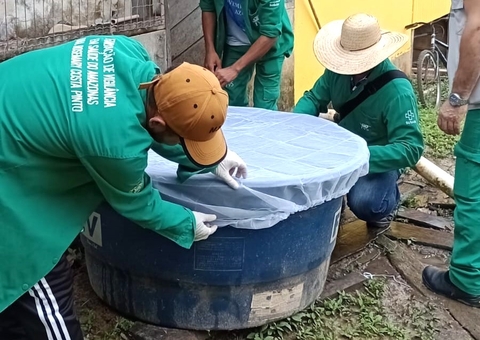 Amazonas tem quase 6 mil casos notificados de dengue