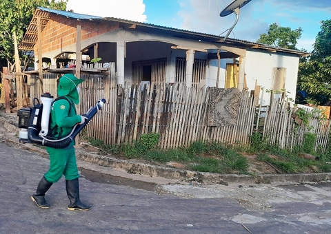 Dengue: Número de mortos pela doença sobe para 9 no Amazonas