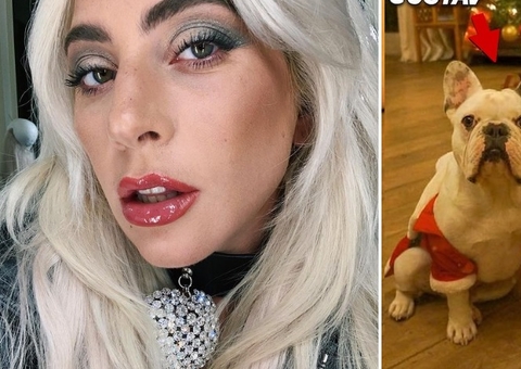 Vídeo: sob tiros, cachorros de Lady Gaga são sequestrados por bandido