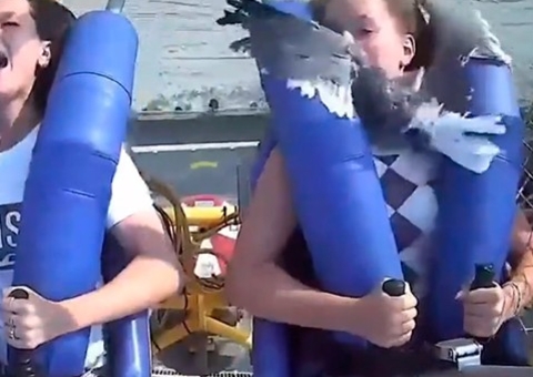 Vídeo: Adolescente é atingida por gaivota em brinquedo de parque nos EUA 