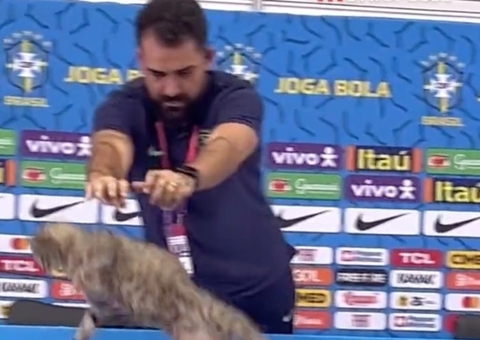 ONGs pedem multa de R$ 1 milhão à CBF por episódio com gato na Copa