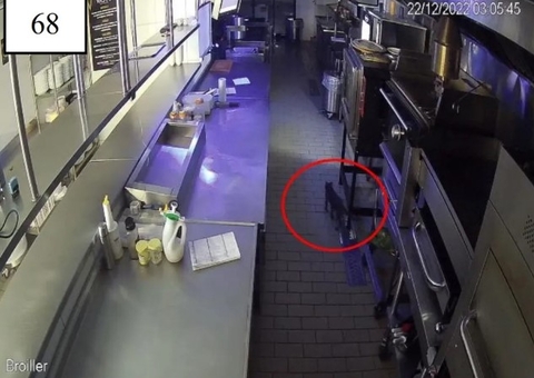 Gato pode ter sido causador de explosão em restaurante do Coco Bambu