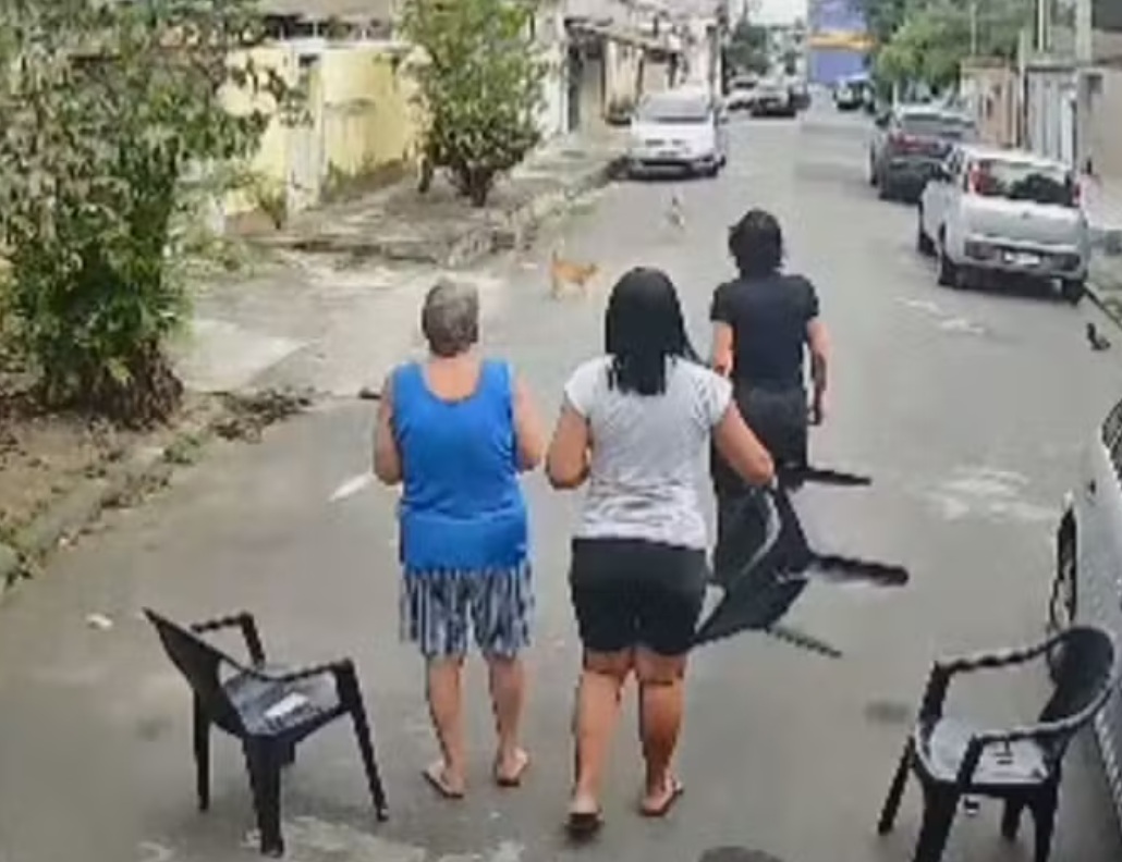 Gato enfrenta pitbull na rua e protege idosa; vídeo