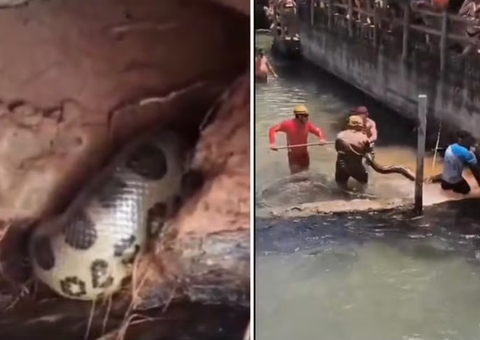 Sucuri de cinco metros causa alvoroço em balneário