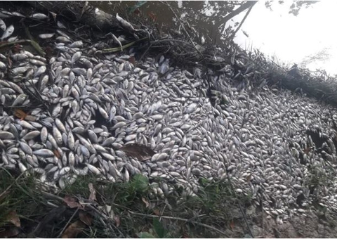 Empresas são multadas em mais de R$ 1 milhão por poluir lago no Puraquequara