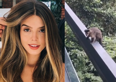 Giovanna Lancellotti é massacrada após vídeo aos berros com macacos em mansão na mata atlântica