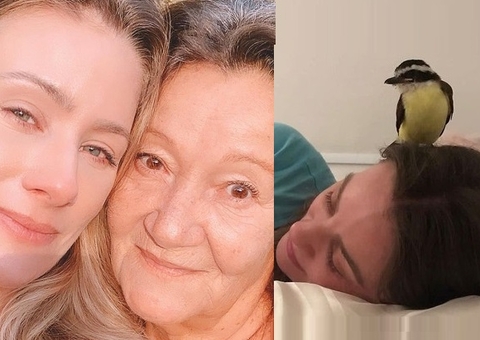 Atriz mostra visita surreal de Bem-te-vi após morte repentina da mãe