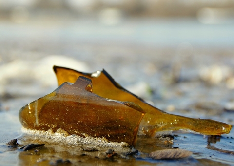 Travesti reage à tentativa de agressão e corta pescoço de homem com garrafa