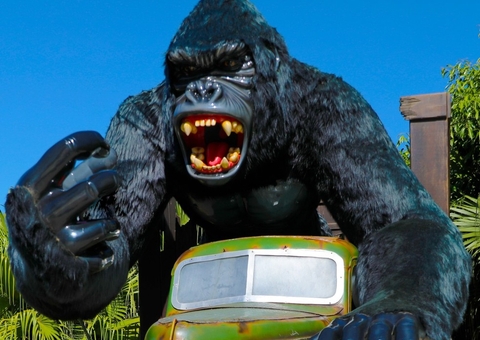 Menino que caiu de gorila no Beto Carrero deve ter alta amanhã